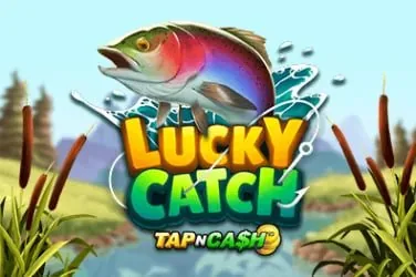 win33 win33 App and Mobile Access